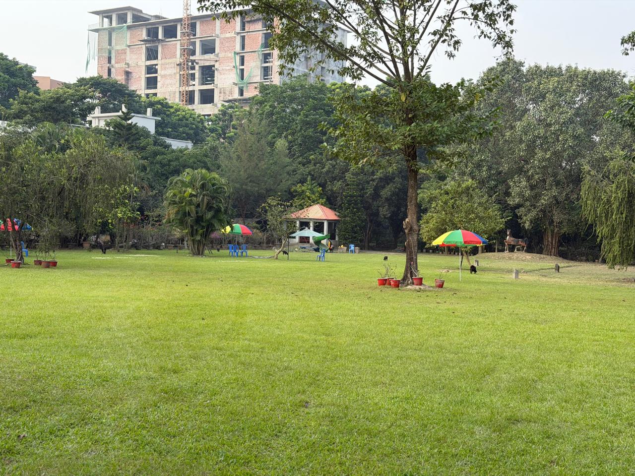 Beachfront Site