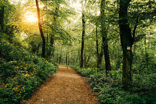 Hiking Trails
