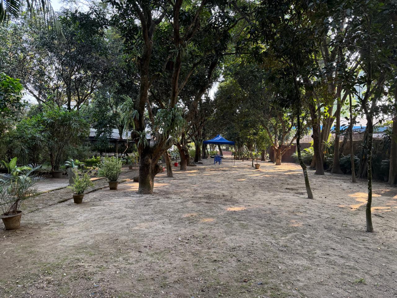 Jongoler Site