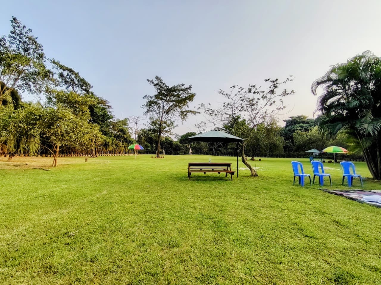 Spacious Playground